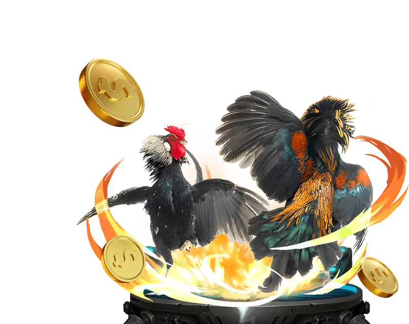 Tổng quan về 5men trang chủ chính thức